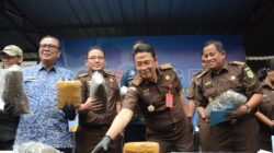 IMG-20240521-WA0023