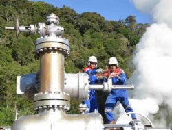 Visi Prabowo Subianto Menuju Kedaulatan Energi Berkelanjutan