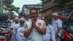 IMG-20241116-WA0066
