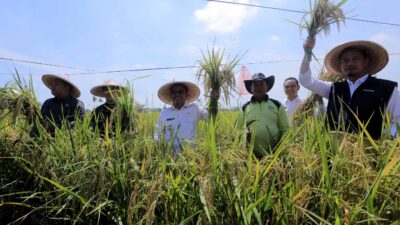 Wali Kota Tangerang Komitmen Jaga Pangan Lokal