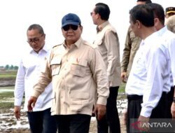 Drone Tebar Benih, Sawah Lahir dari Rawa: Prabowo Targetkan Lumbung Pangan Baru di Sumsel