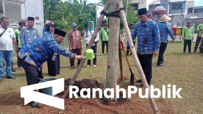 Dulu Tempat Sampah, Kini Jadi Harapan: Taman Baru Semper Timur Jadi Ruang Hidup Warga