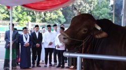 Presiden Prabowo beli sapi kurban