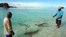 Raja Ampat Tetap Aman Dikunjungi, Meski Ada Polemik Tambang: Menparekraf Minta Semua Pihak Jaga Ikon Wisata Nasional