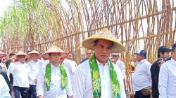 swasembada gula nasional