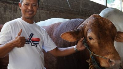 Sapi kurban Presiden Prabowo 2025